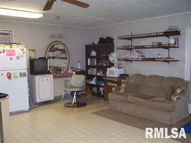 1241 Richland Ave, Lincoln, IL 62656 - photo 5