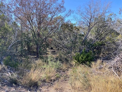 Lot# 8 Flat Rock Rd unit Dolan Creek Ranch, Del Rio, TX 78840 - photo 3