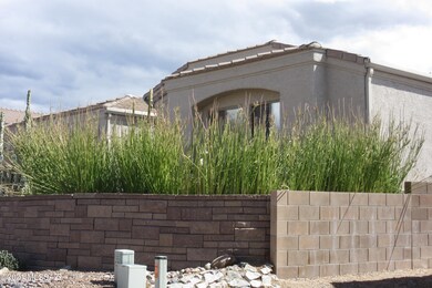 Raised yard