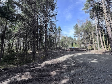 0 Greenleaf Rd, Arch Cape, OR 97102 - photo 4