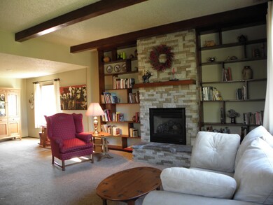 gas fireplace