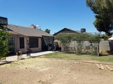backyard 2