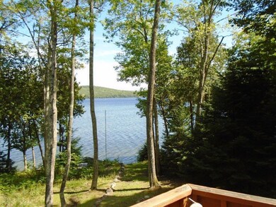 View From The Deck