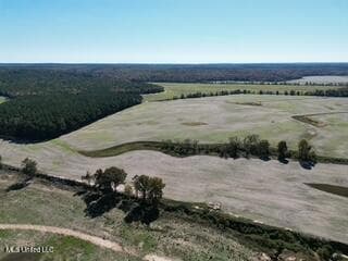 0 Beck Spring, Ashland, MS 38610 - photo 7