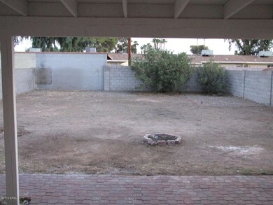huge yard 006