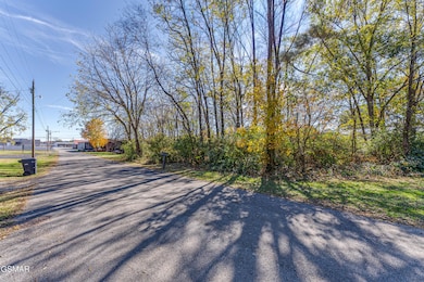 TBD Creamery St, White Pine, TN 37890 - photo 2