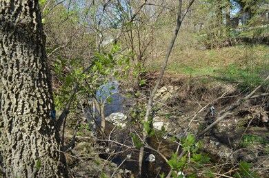 Turkey Run Creek