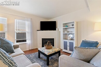 5511 Sunshade Point, Colorado Springs, CO 80923 - photo 5