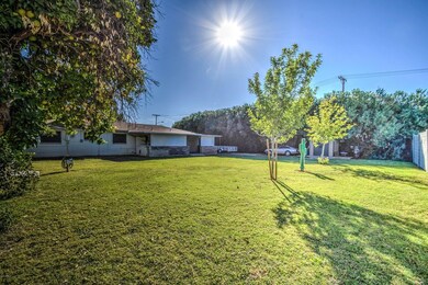 5 Back Yard
