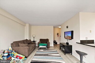 Mica Condominiums unit 1010, Silver Spring, MD 20910 - photo 4