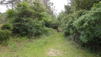 TBD ±2.9acres Grand Pines Rd, Magnolia, TX 77355 - photo 5