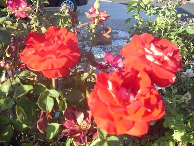 1732 S 77th St, Mesa, AZ 85209 - photo 2