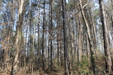 0 River Bend Rd, Columbia, MS 39429 - photo 3