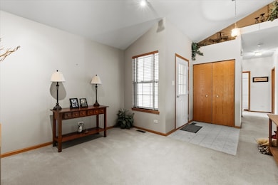 4513 Skylark Ln, Plainfield, IL 60586 - photo 3