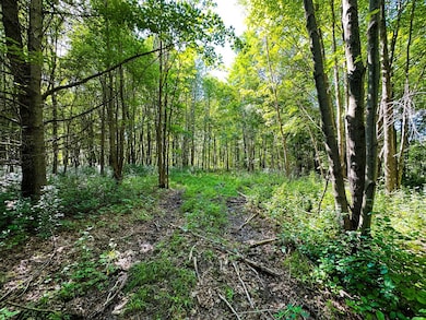 TBD U S 12, Wilson, WI 54027 - photo 4