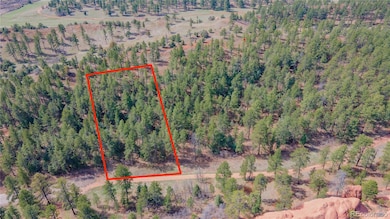 8257 Bannock Dr, Larkspur, CO 80118 - photo 4