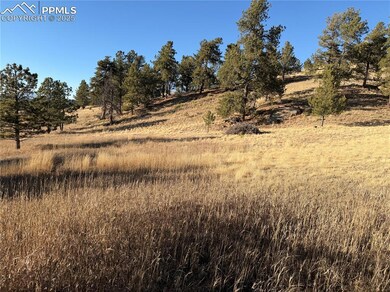 71 Elkhorn Cir, Florissant, CO 80816 - photo 4