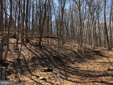 38R Penn St, Lenhartsville, PA 19534 - photo 6