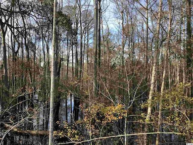 10A Bear Bluff Dr, Conway, SC 29526 - photo 3