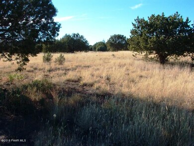 Simonsen vacant land pictures 006
