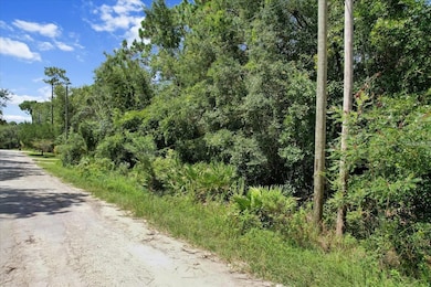 1420 S Highcliff Point, Homosassa Springs, FL 34448 - photo 2