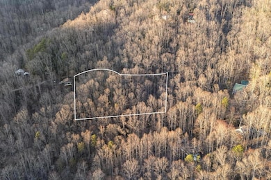 00 Brandy Ln, Franklin, NC 28734 - photo 3