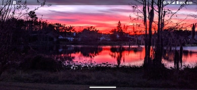 Sunset view