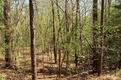 Heavily wooded Pine and Oak
