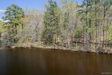 Spring shoreline 2