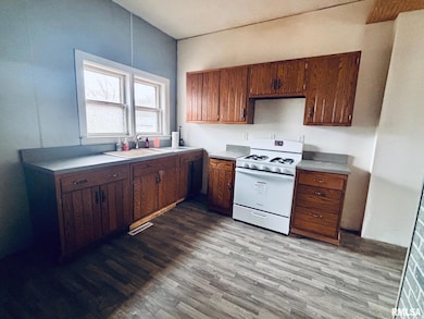 207 S Primm St, Athens, IL 62613 - photo 4