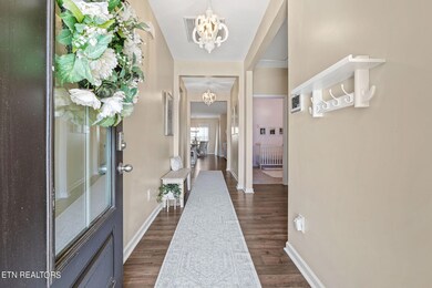 8636 Satellite Ln, Knoxville, TN 37920 - photo 7