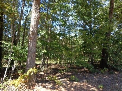 0 Picketts Mill Rd unit 772319, Seagrove, NC 27341 - photo 3