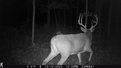 00 Union Grove Rd, Greenville, IL 62246 - photo 7