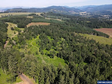 42820 Mount Pleasant Dr, Scio, OR 97374 - photo 3