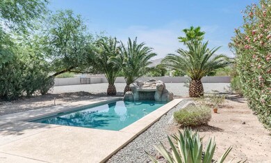 Pool, Backyard