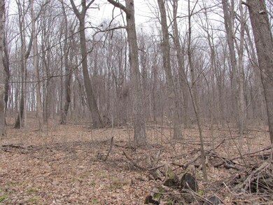 4709 W Olive Branch Rd, Three Oaks Township, MI 49128 - photo 7