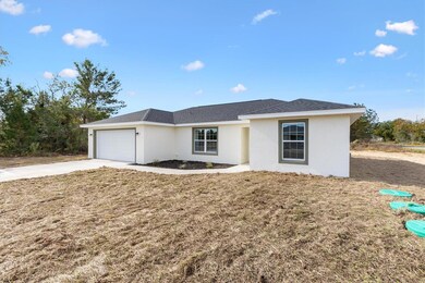2 Fisher Lane Trail, Ocklawaha, FL 32179 - photo 5