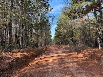 Youngblood Rd, Sparta, GA 31087 - photo 6