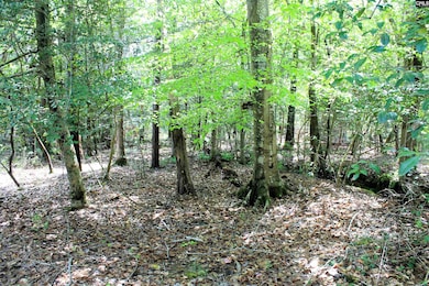 TBD Crooked Creek Rd, Chapin, SC 29036 - photo 5