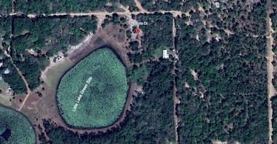 129 Viola Dr, Hawthorne, FL 32640 - photo 3