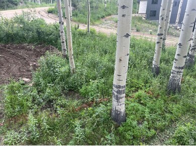 4410 S Fawn Way unit 2038, Heber City, UT 84032 - photo 2