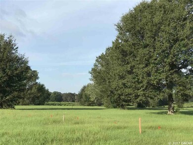 74 SW Mandiba Dr, Lake City, FL 32024 - photo 5