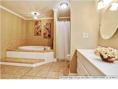 Master Bath has double vanity area, walk in closet