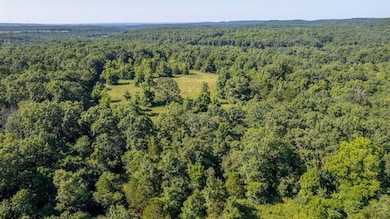 242 Blue Jay Dr, Chadwick, MO 65629 - photo 2