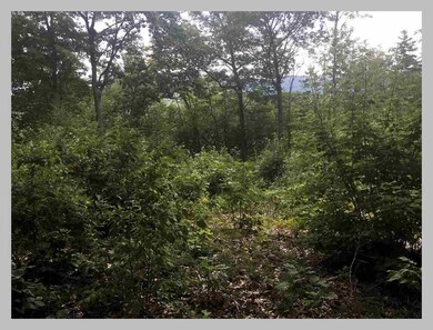 13 Point of View Dr, Plymouth, NH 03264 - photo 6