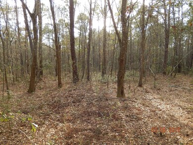 0000 Lightning Ln, Middleburg, FL 32068 - photo 4