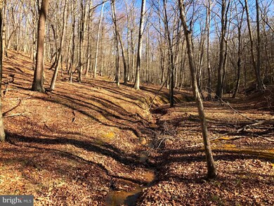 0 Beech Ln unit 1000232394, Baker, WV 26801 - photo 5