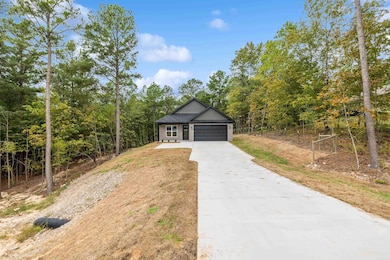 457 Judah Ln, Alexander, AR 72002 - photo 5