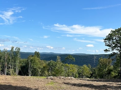 0 Swaller Hill Rd unit 24141835, Sharon, CT 06796 - photo 6