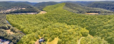 3 LARGE SHOT with OUTLINE...